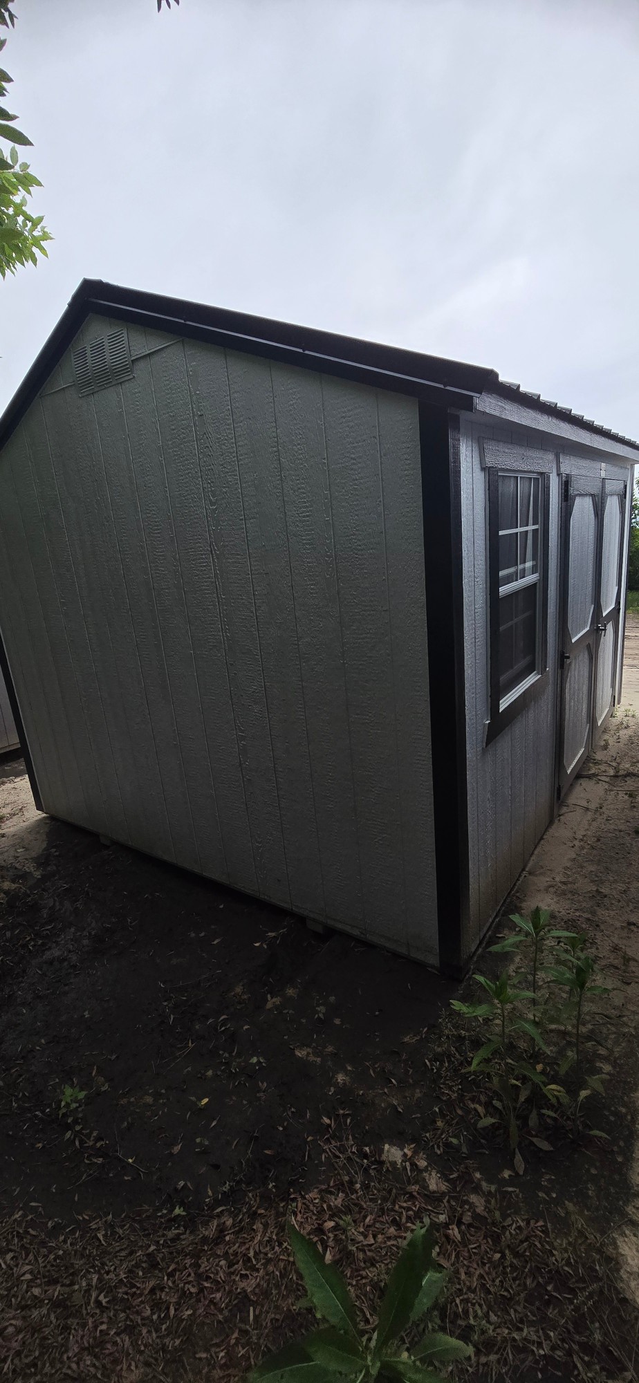 Shed preview