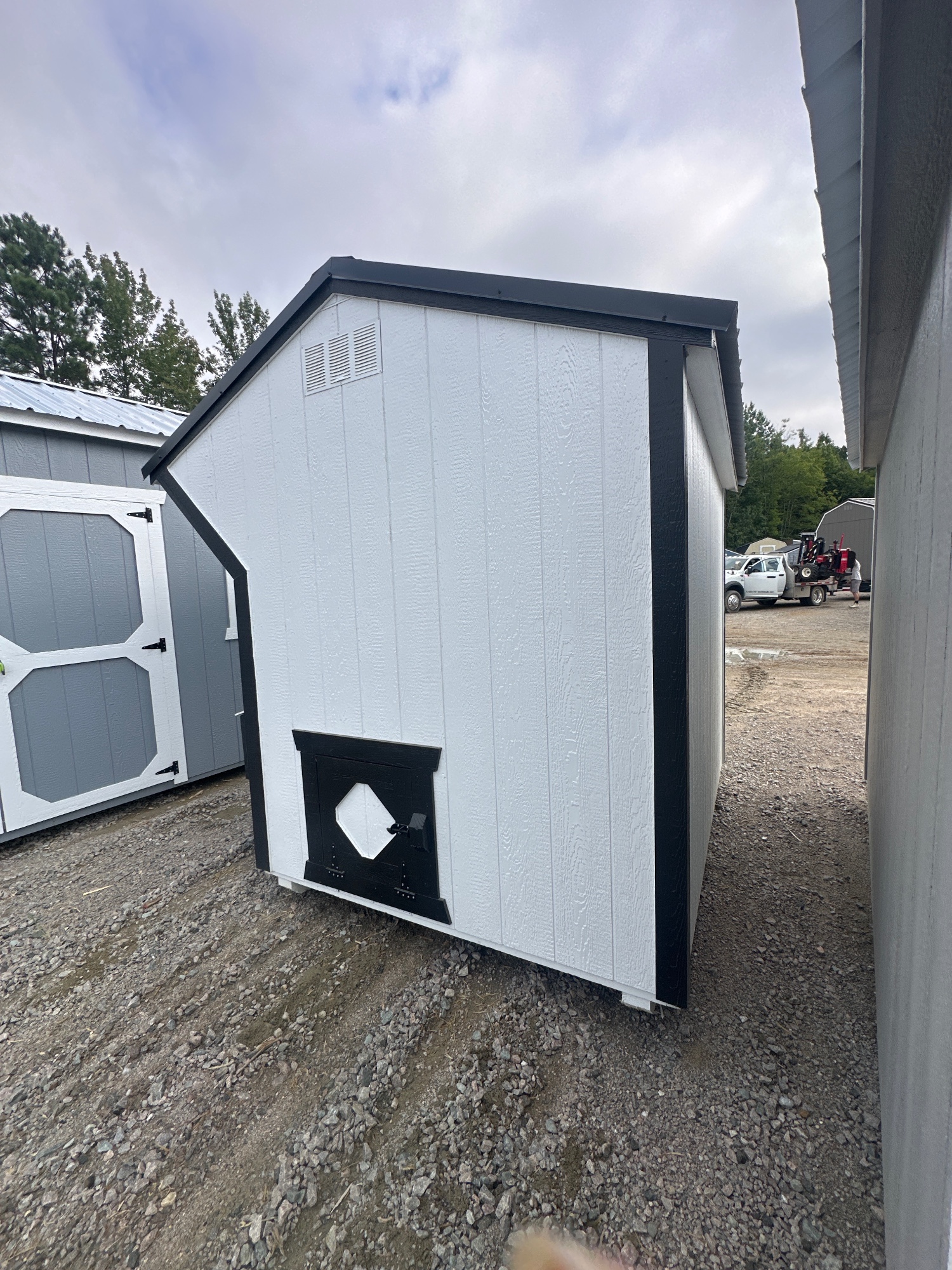 6x8 Chicken Coop for sale near Bladenboro, NC - photo 2